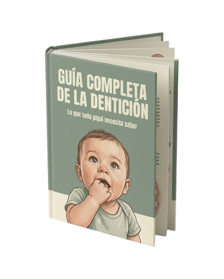 Guía Completa de la Dentición