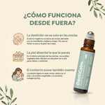 Cómo funciona desde fuera — DentiCalm