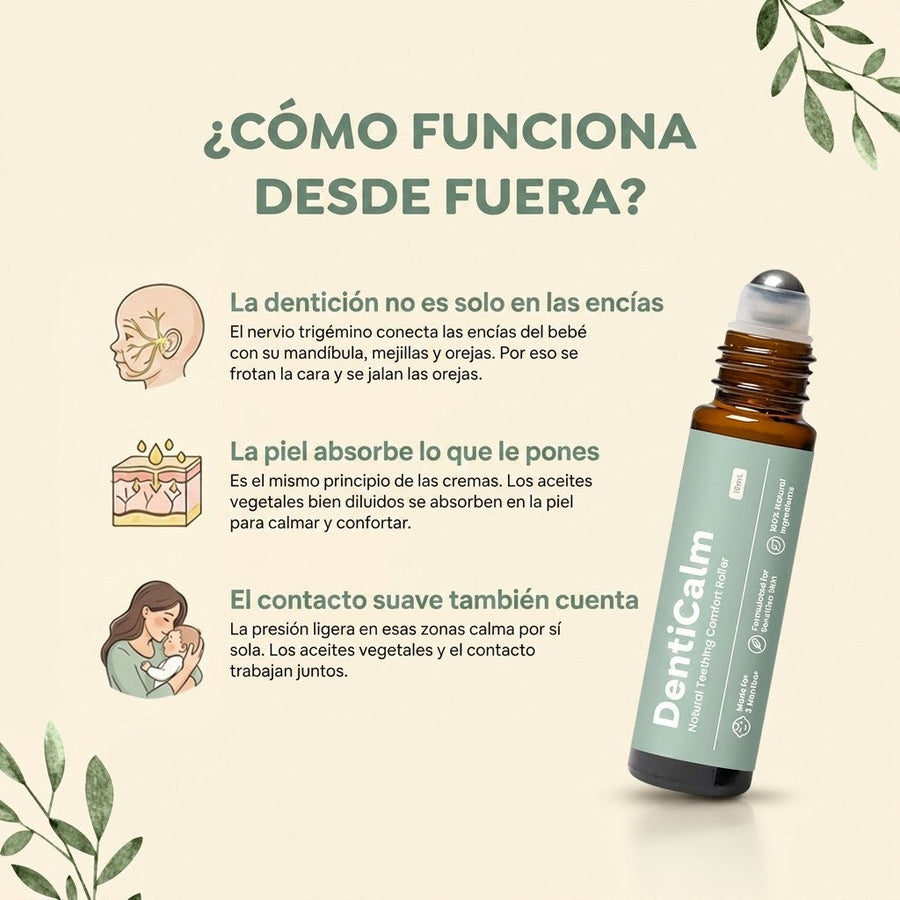Cómo funciona desde fuera — DentiCalm